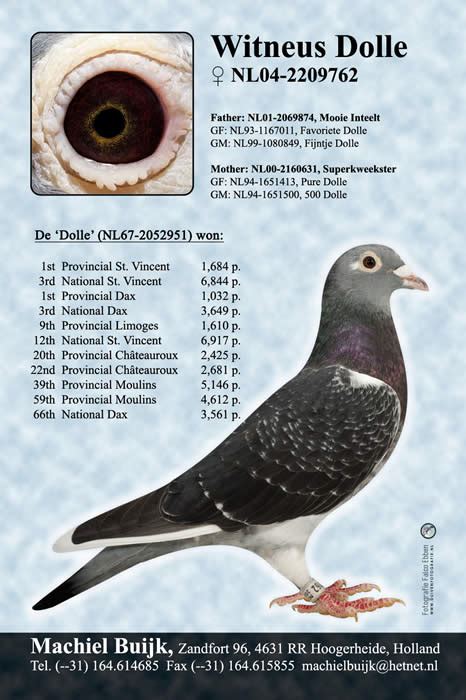 An introduction to the Master Breeder of Jan Aarden .